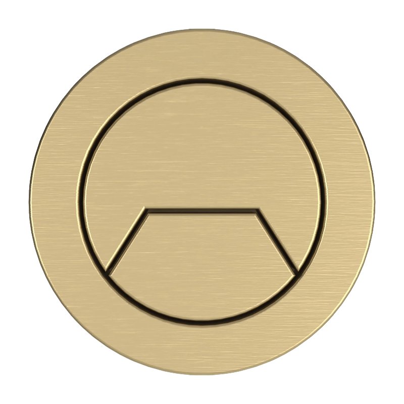Cistern Flush Button (8993) Brushed Gold